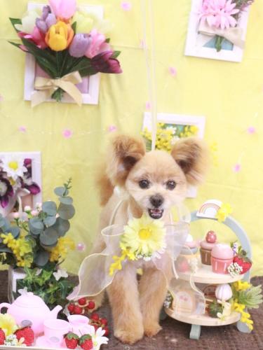 20230307クッキーくん